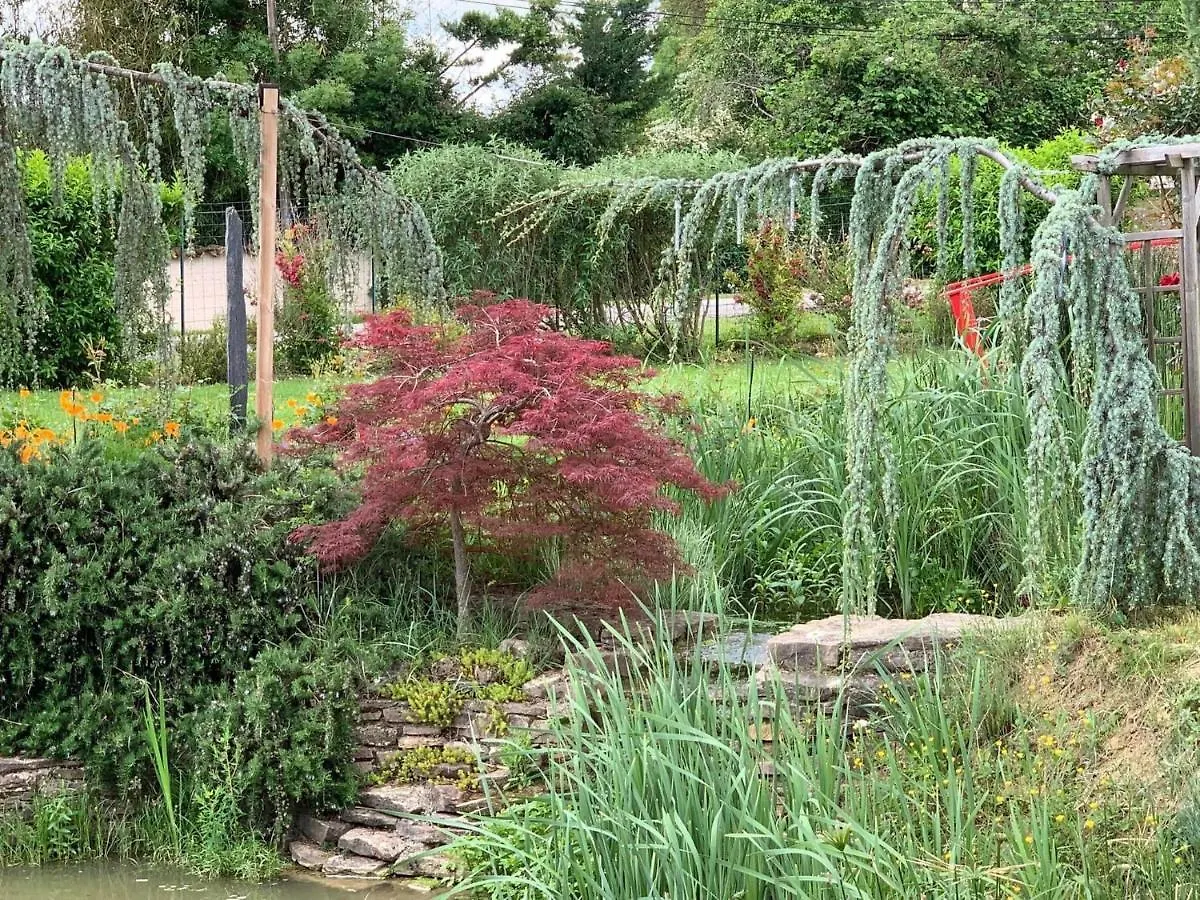 Holiday home La Grenouillere Villa Caussade France